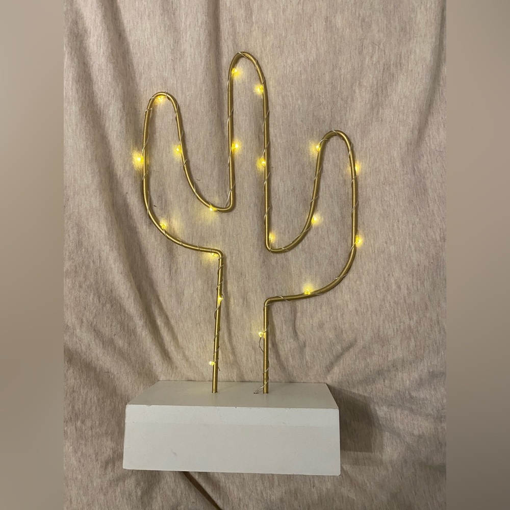 Cactus Decor